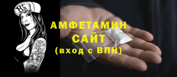 мет Няндома
