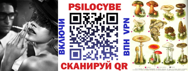 Галлюциногенные грибы мицелий  цены   Туран 